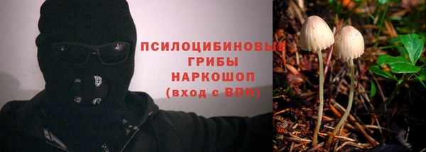винт Алзамай