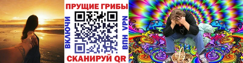Псилоцибиновые грибы прущие грибы  сколько стоит  Алексин 
